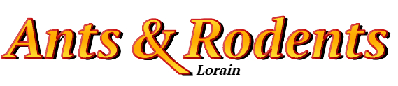 Lorain Ant Exterminator & Rodent Control Company Logo